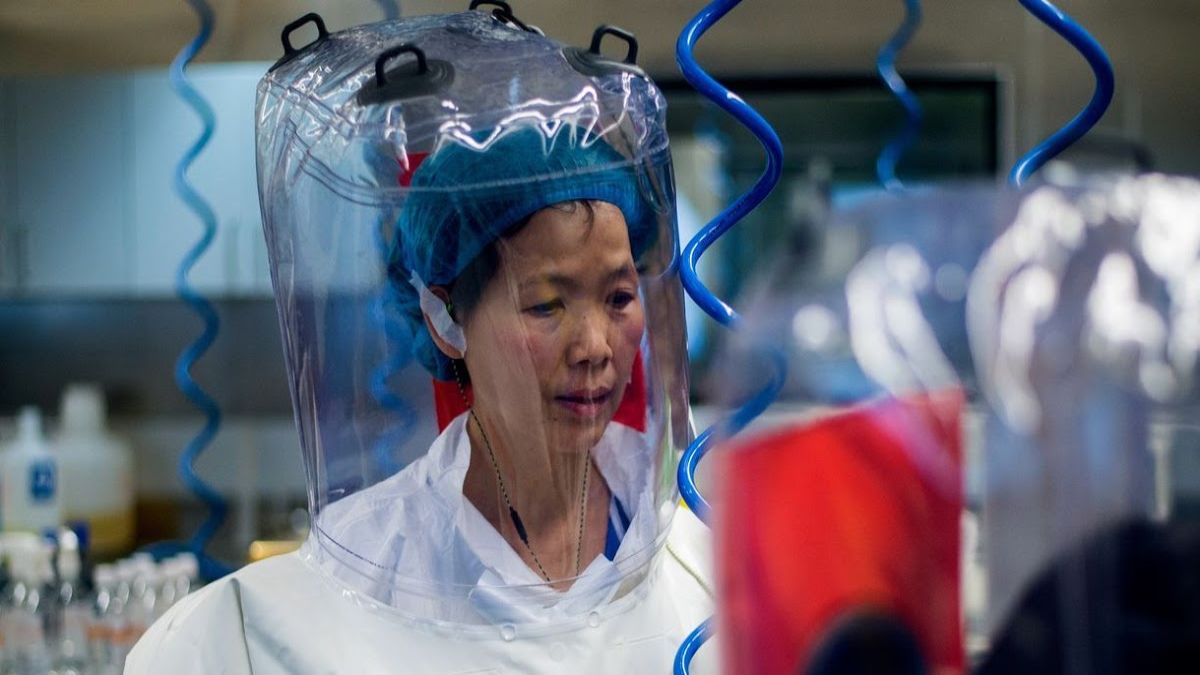 China’s “Bat Woman” Have Some Big Bombs To Drop On Coronavirus
