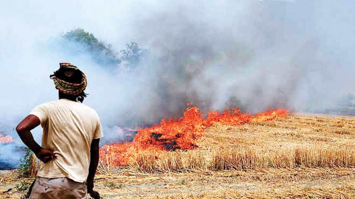 Air Quality In National Capital Worsens As Stubble Burning Picks Up Pace