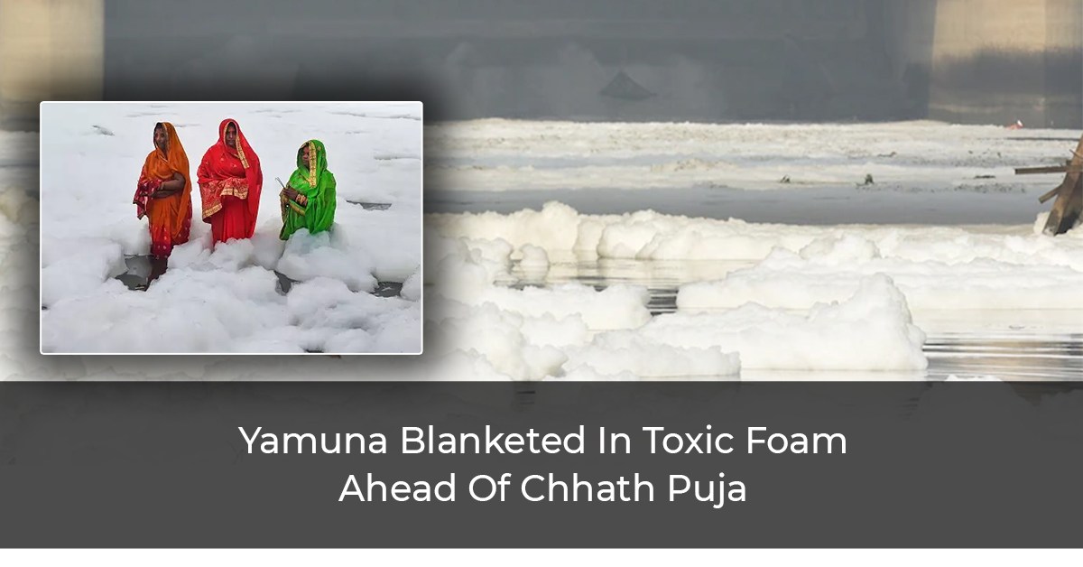 Yamuna Blanketed In Toxic Foam Ahead Of Chhath Puja.