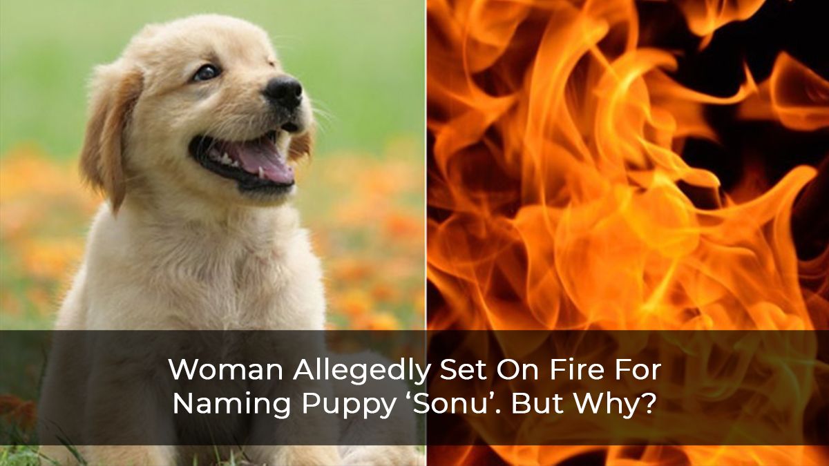 Woman-Allegedly-Set-On-Fire-For-Naming-Puppy-‘Sonu’.-But-Why-