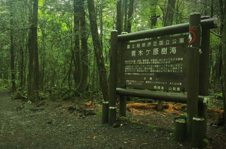 Japan's Aokigahara Forest-most haunted places in the world
