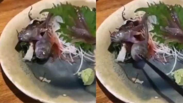 Fish Served at Japanese Restaurant Comes Alive, Bites Customer's Chopstick